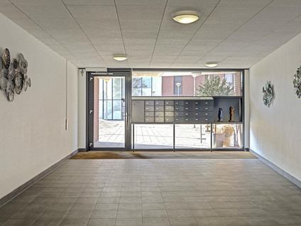 Wijnruitstraat 315