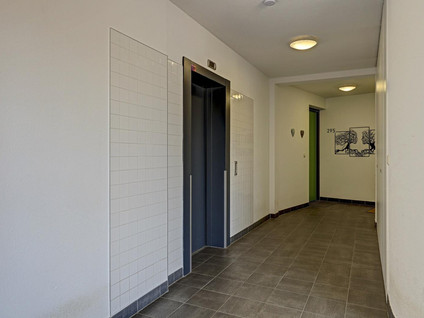 Wijnruitstraat 315