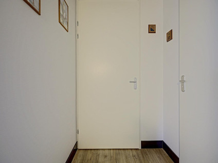 Wijnruitstraat 315