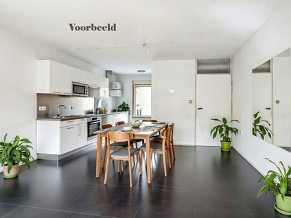 C.J. Snuifstraat 2 4