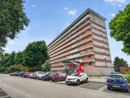 Raamveld 55