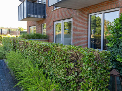Waakvlamstraat 10