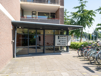 Kersengaarde 272