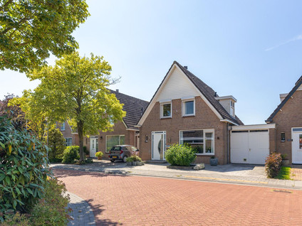 Landrust 5