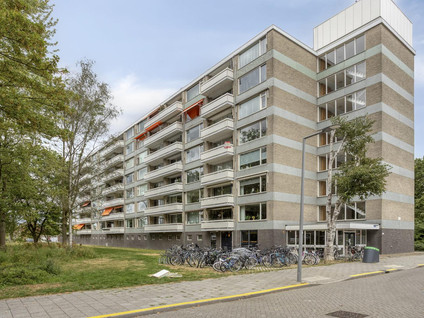 Everaertstraat 55