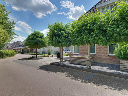 Den Bogerd 15