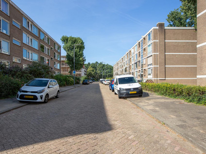Schalkeroord 13