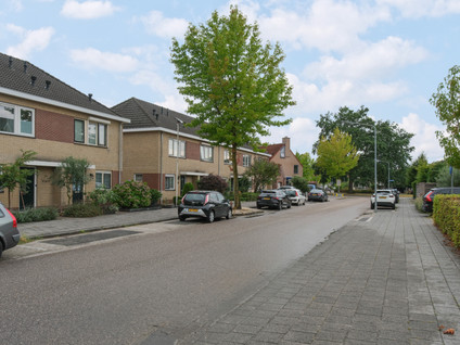 De Rotsduif 19