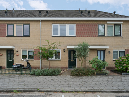 De Rotsduif 19