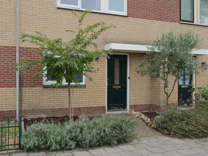De Rotsduif 19