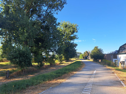 Koevaart 