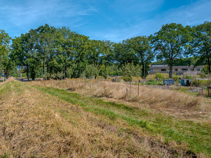 Roessinghkamplaan 10