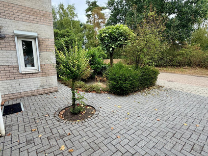 Raamsingel 70