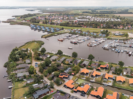 Grote Siege 50