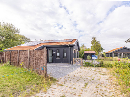 Grote Siege 50
