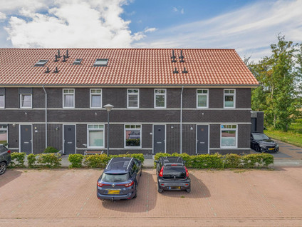 Notenhout 35