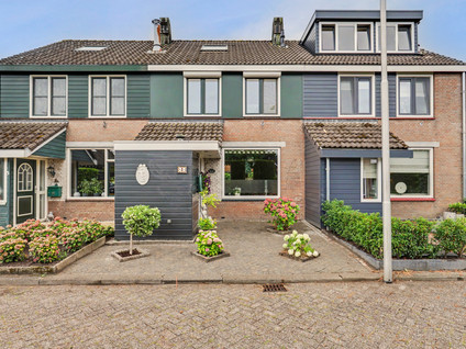 Dotterbloemstraat 3