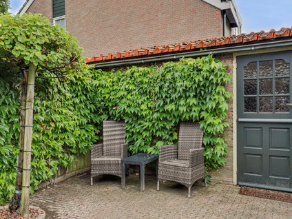 Dotterbloemstraat 3