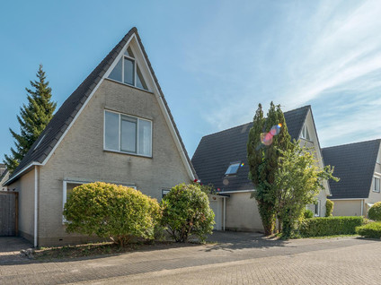 De Vrijenbergstraat 13