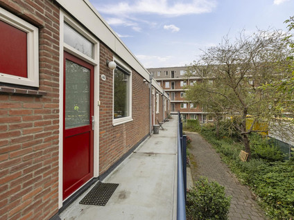 Camphuysenstraat 163