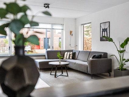 Het Zool 34