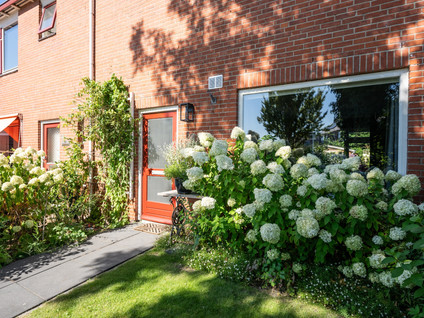 Thijsselaan 89