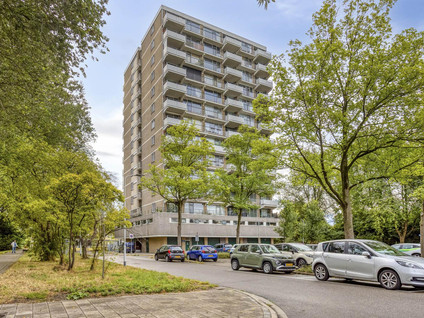 Graaf Janstraat 144