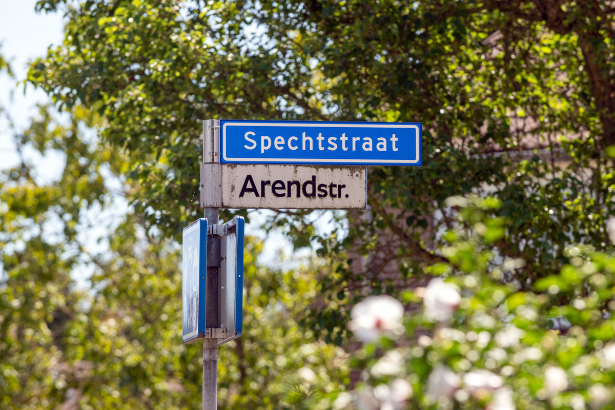 Twee-onder-één-kap te koop: Spechtstraat 2, Heerlen