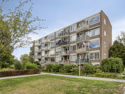 Reigerstraat 9