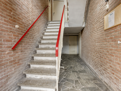 Reigerstraat 9