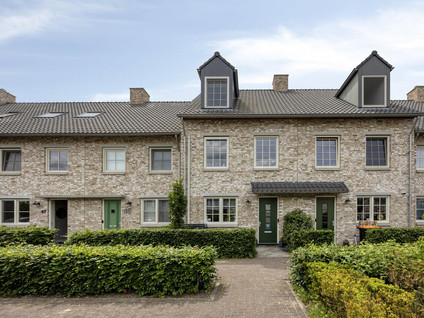 Graan voor Visch 43