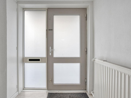 Zenegroen 23