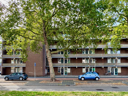Noordsingel 126