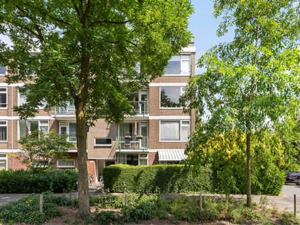 Ruigenhoek 65