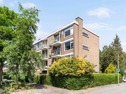 Ruigenhoek 65
