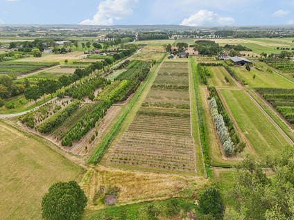 Bonegraafseweg 62