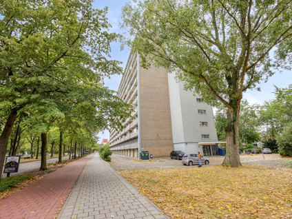 Holysingel 108