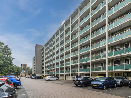 Lepelaarsingel 314