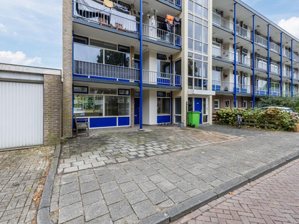 De Reiger 207