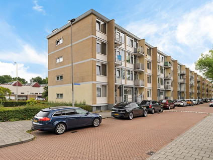 Seringenstraat 142