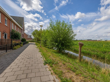 Pinksterbloem 7