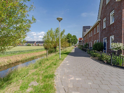 Pinksterbloem 7