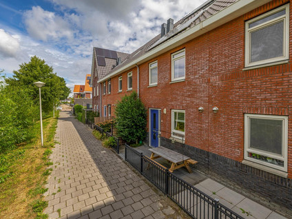 Pinksterbloem 7