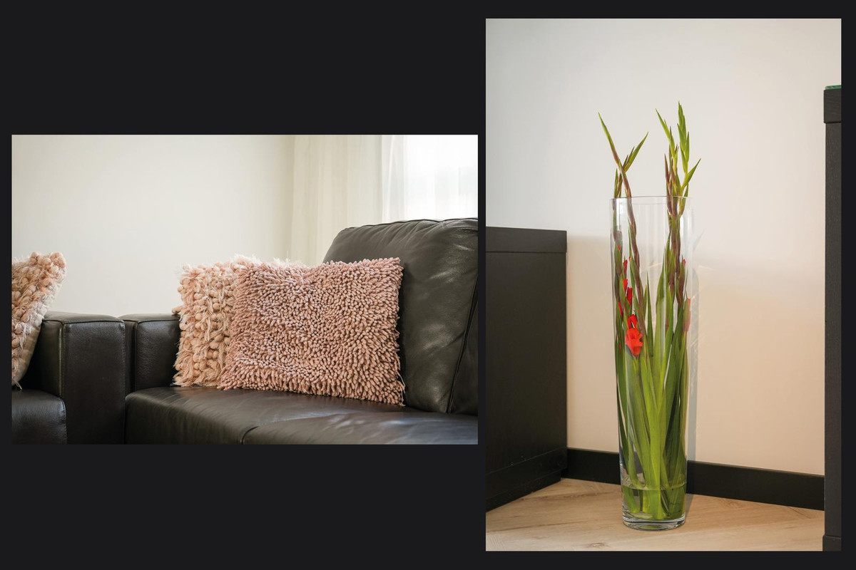 Tussenwoning te koop: Eisenhowerlaan 55, Utrecht