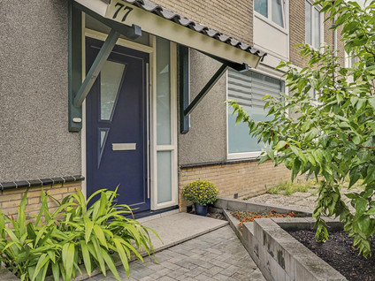 Hazelaarstraat 77