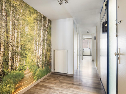 Vriesestraat 82A