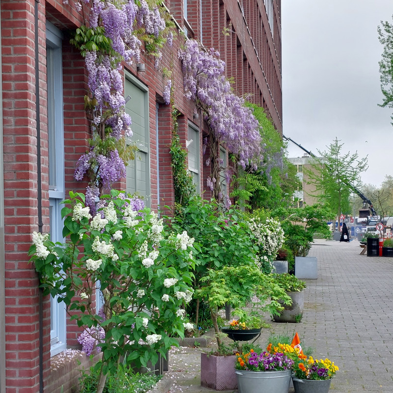Appartement te koop: Nijverheidstraat 144, Rotterdam