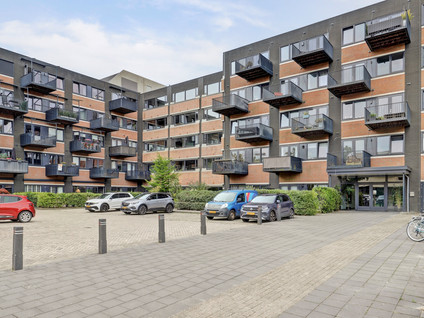 Zandsteen 121