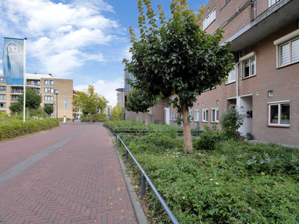 Nieuwstraat 308