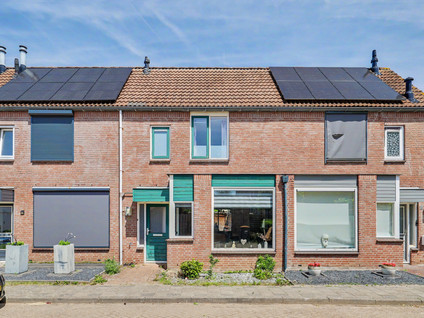 Rietdekker 4